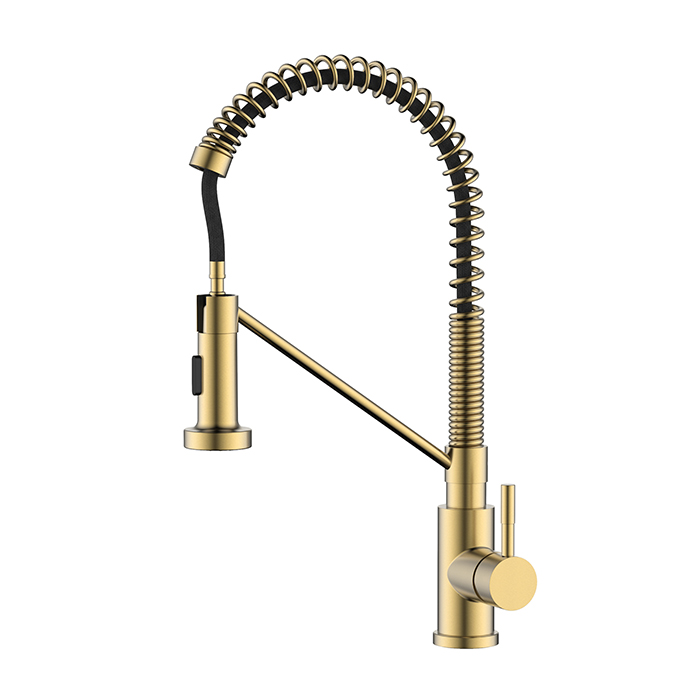 Pinsel Messing Frühling Spule Hals Ziehen Sprühgerät Kitchen Spüle Wasserhahn